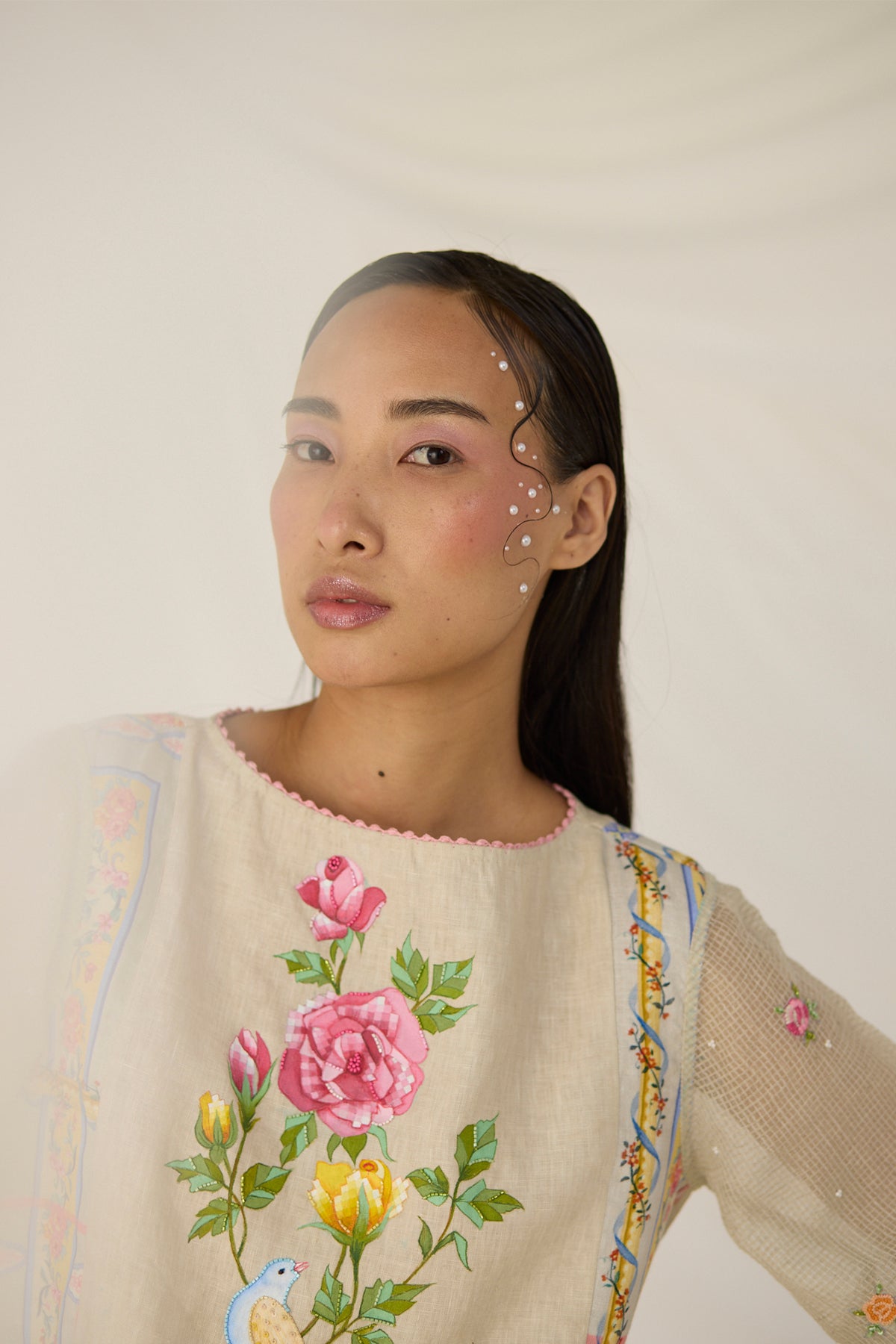 Cloud Embroidered Top
