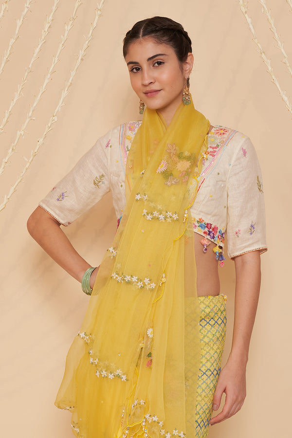 Barfi Embroidered Blouse