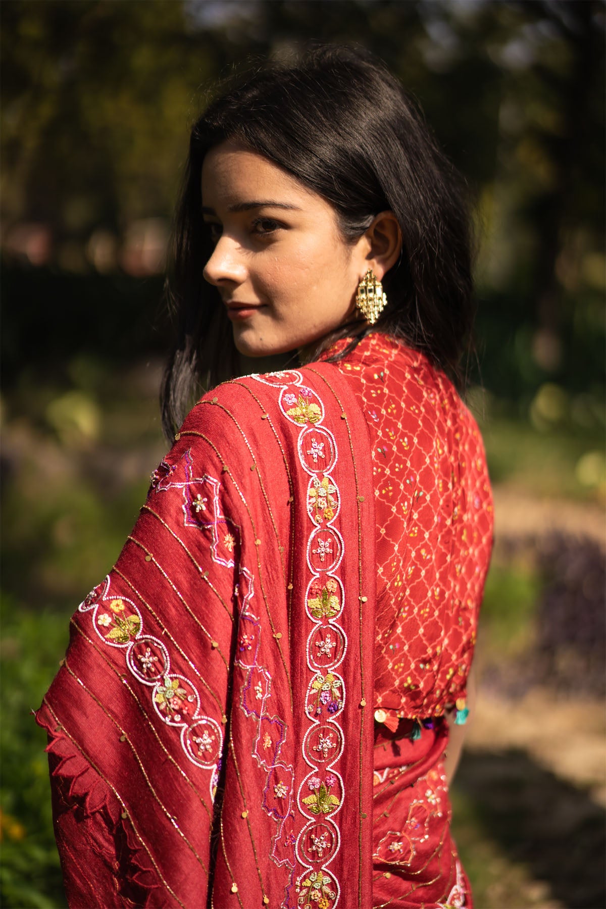ANAAR EMBROIDERED SAREE