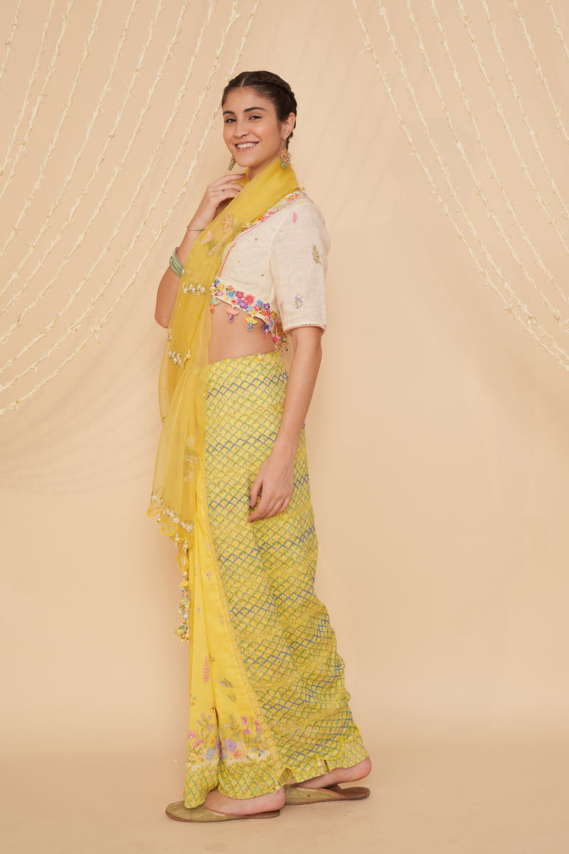 Nimbu Panelled Saree