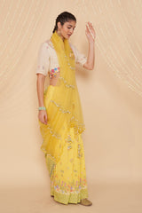 Nimbu Panelled Saree