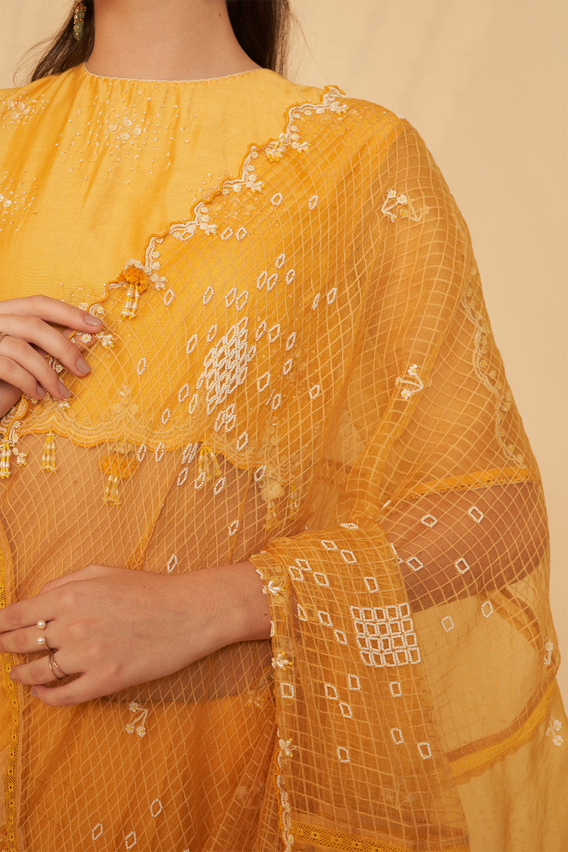 Haldi Organza Saree