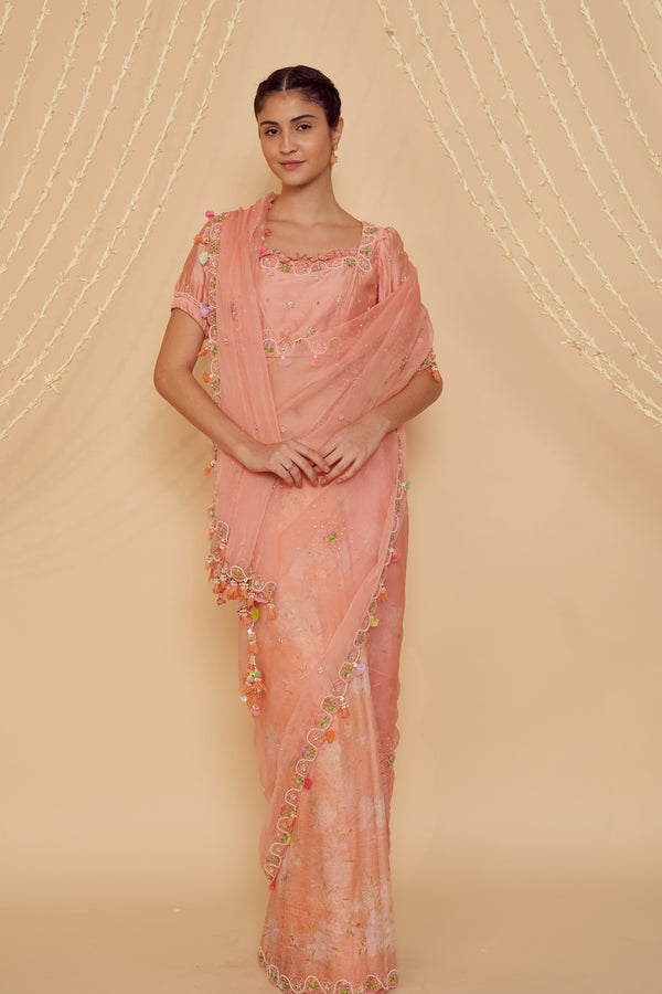 Naarangi Organza Saree