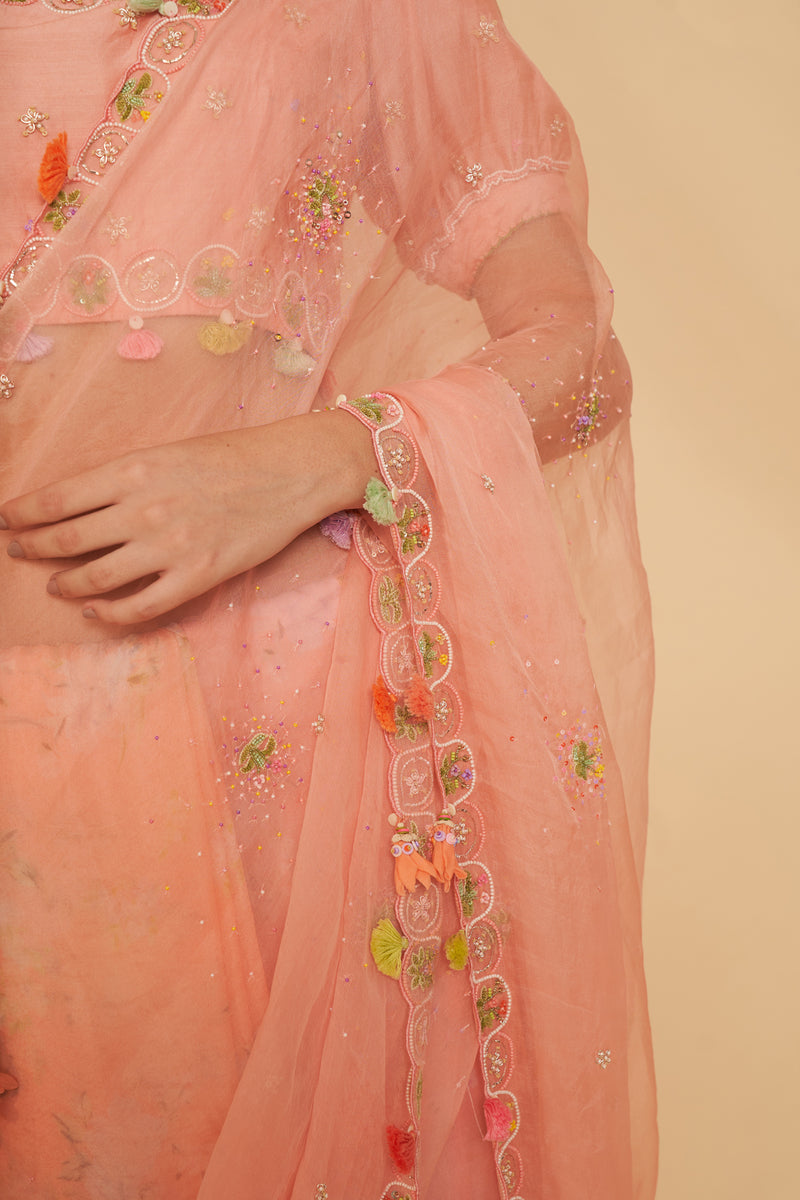 Naarangi Organza Saree