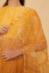 Haldi Embroidered Blouse