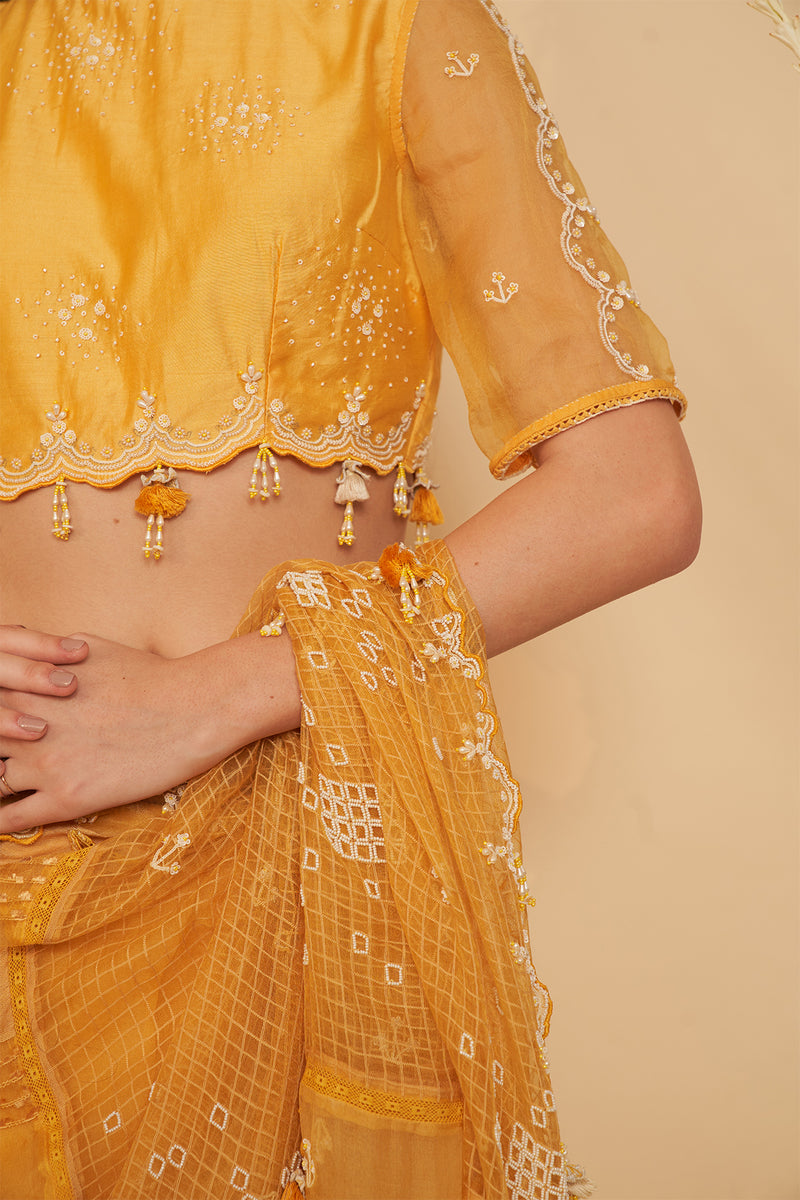 Haldi Embroidered Blouse