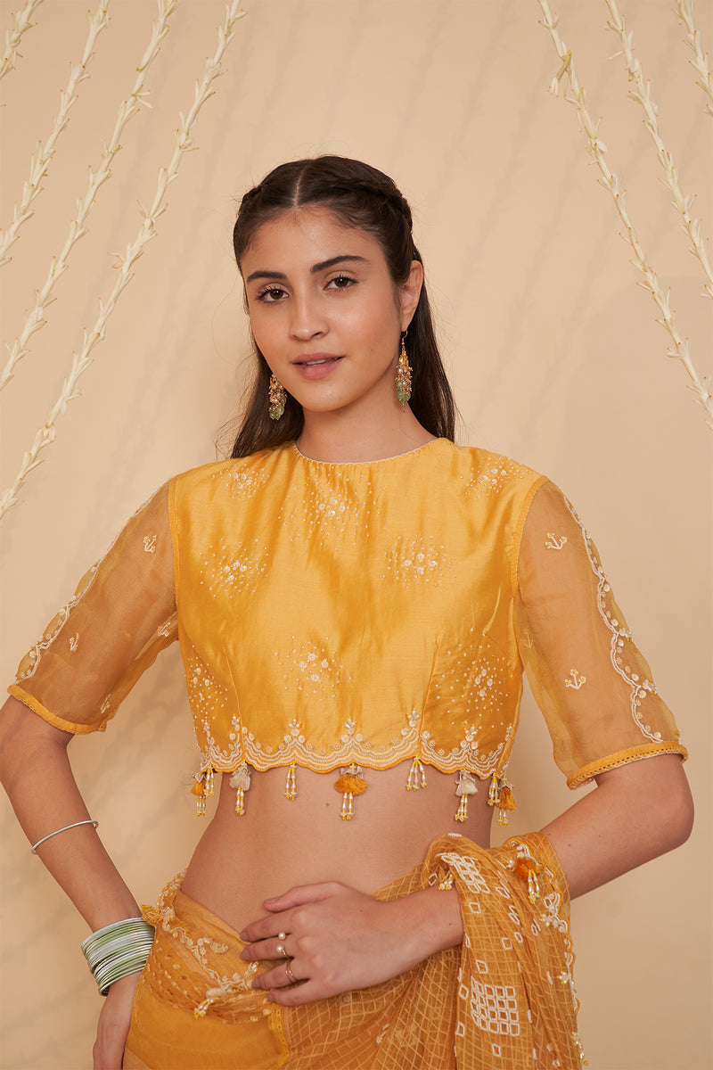 Haldi Embroidered Blouse