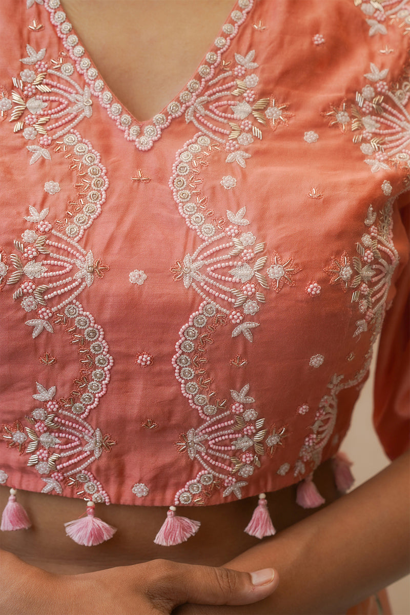 Imarti Embroidered Blouse