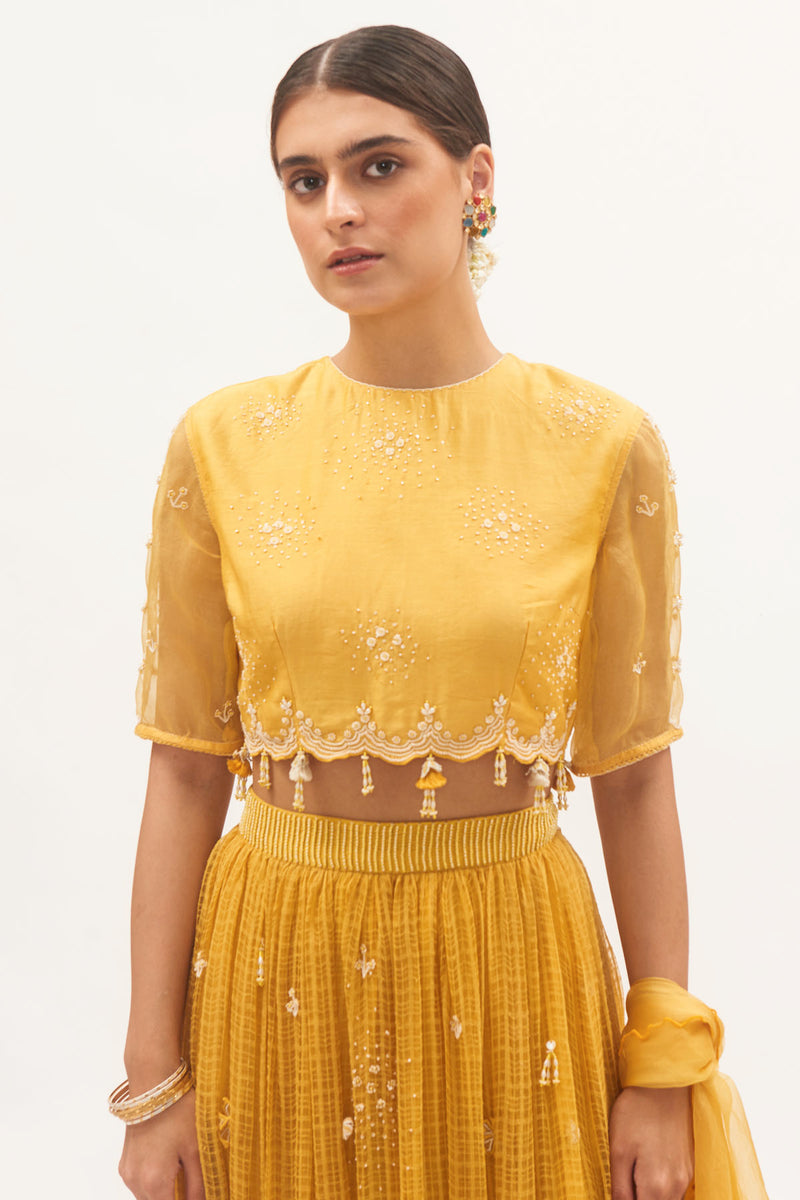 Haldi Lehenga Set