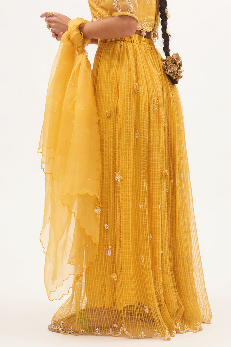 Haldi Lehenga Set