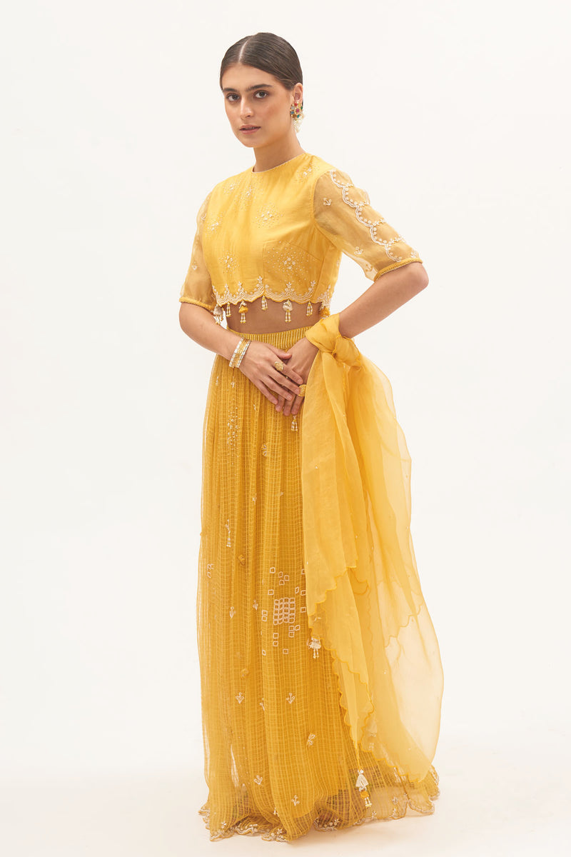 Haldi Lehenga Set