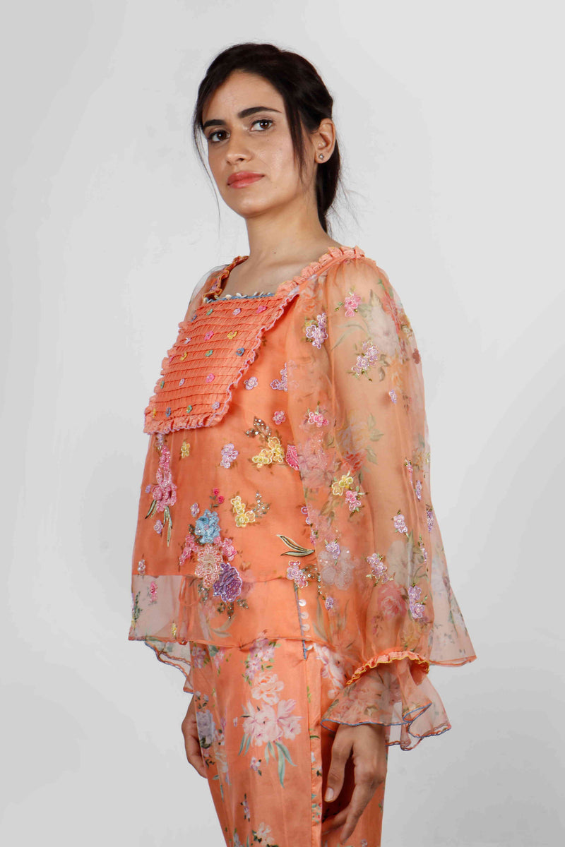 Kesar Organza Embroidered Top